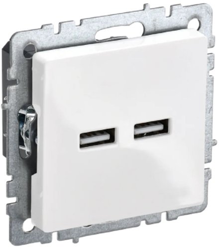 Розетка USB тип A+A без рамки IEK Brite РЮ10-1-БрБ 2-м. 3100мА белый фото Розетка USB тип A+A без рамки IEK Brite РЮ10-1-БрБ 2-м. 3100мА белый картинка